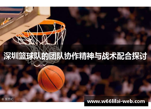 深圳篮球队的团队协作精神与战术配合探讨