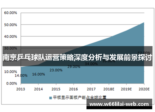 南京乒乓球队运营策略深度分析与发展前景探讨